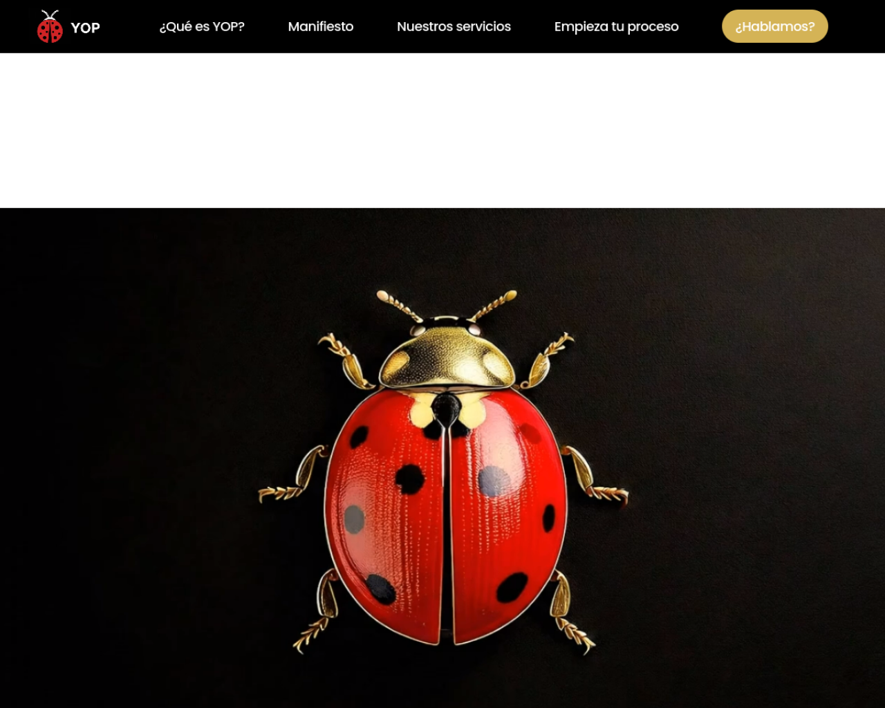 Captura de la web de YOP